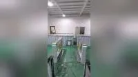 Sistema de controle de acesso de catraca da China Catraca de portão de velocidade automático